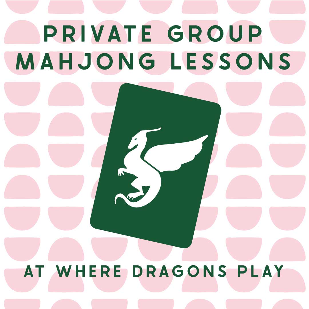 Private Group Beginner Lesson at Where Dragons Play